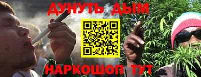 индика Жуковский