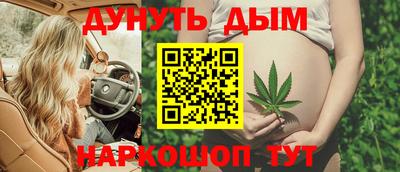 индика Жуковский