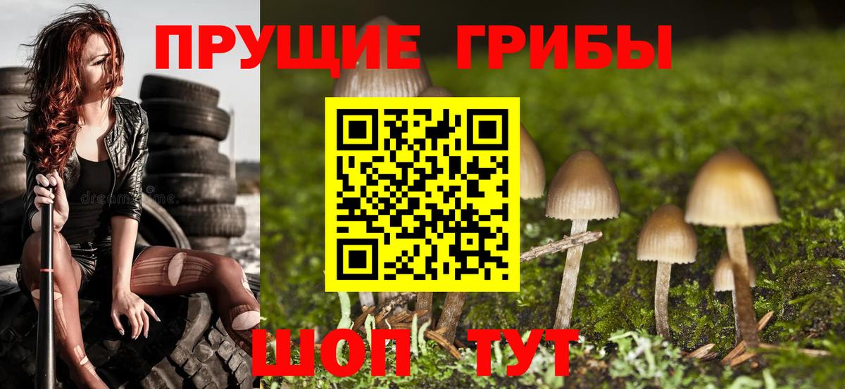 Галлюциногенные грибы мицелий Воронеж